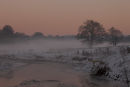 blackburn-18