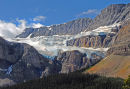 The Crowfoot Glacier