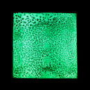 7UP NO2 - MAYO, 2007