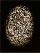 PRECIOUS: SEA: STONE NO 7, 2006 KEFALONIA/MAYO - unique print