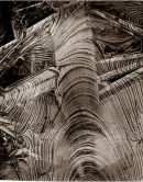 Ice Works No.10 - Metropolis - 1999