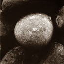 Lonbain Wall 4 - 1994