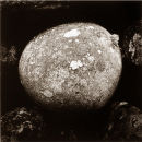 Lonbain Wall 1 - 1991