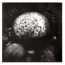 Silver Stone In The Rain - 1999
