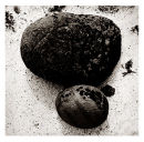 Two Stones On A Shell Beach - 1989