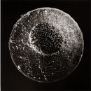 Birdwater 1 - 1998