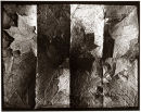 Leaf Map OS 207 - 1996
