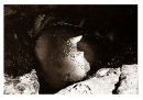 Bronze Stone - Laide - 1988