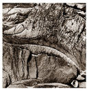 Landscape With Shell - Colonsay - 1990