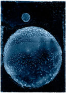 BLUE MOON OVER CHESWICK, 2008