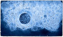 BLUE DUNWICH MOON, 2008