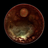 news and a new piece - "Geranium Moon No. 2"