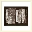 Looking into the Woods No.2 - Mere Sands Wood - 2003