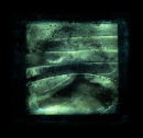 kelp underwater - cruisaig - 44cm x 44cm