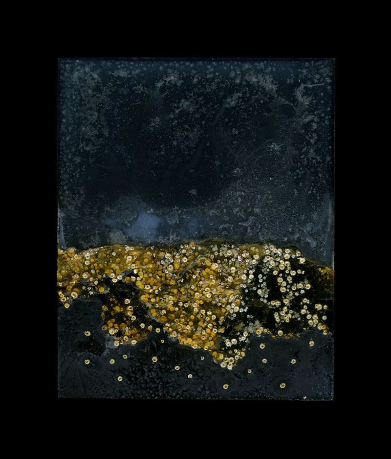 where land meets sea no.1 - 2013
