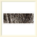 On the Margin No.2 - Mere Sands Wood - 2003