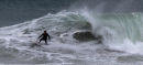 Andy