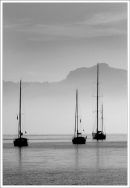 Early Morning Porteo Pollensa