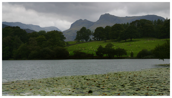 Loughrigg Tarn
