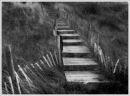 Steps