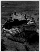 The Old Boat