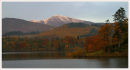 Derwent Dawn