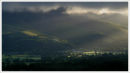 Early Morning Light 1