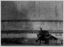 One Man and his Dog