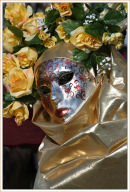 Rose Lady