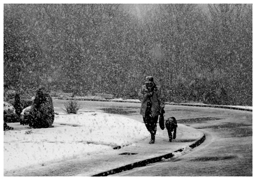 Walking the dog