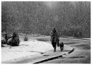 Walking the dog