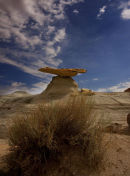 Stud Horse Point 3