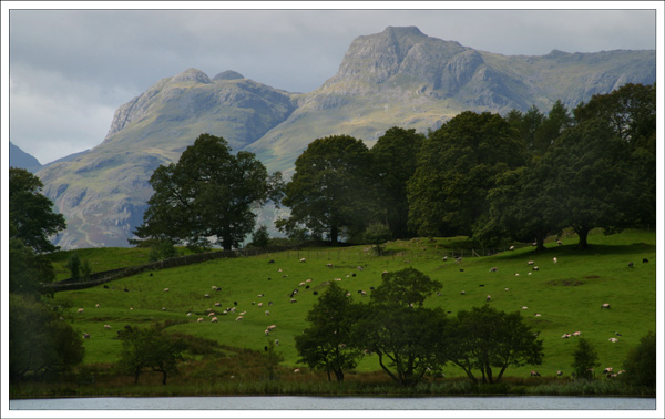 View from Loughrigg