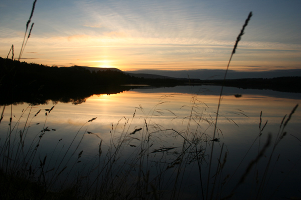 Bavelaw Marsh