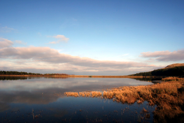 Bonaly Reservoir