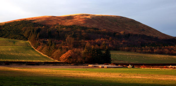 Evening Light on Caerketton Hill