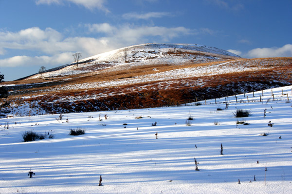 Harbour Hill