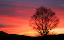 Red Sky at Red Moss