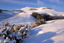 Turnhouse Hill