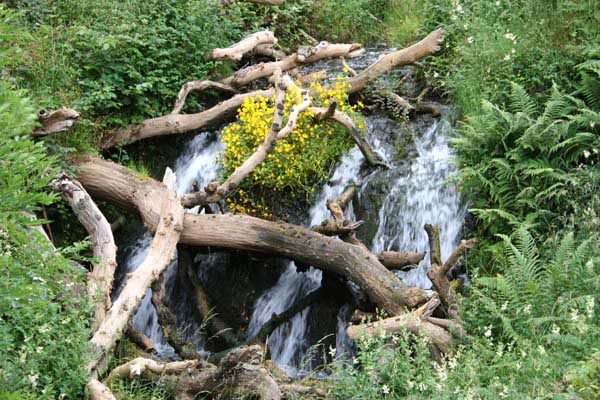 Torduff Waterfall
