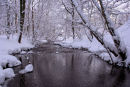 Snowy Glencorse Burn