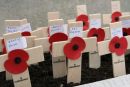 Remembrance Day