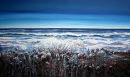 Incoming Tide