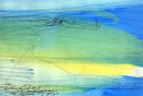 Low Tide Lines