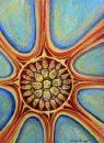 Sunburst