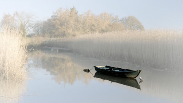 Solitude