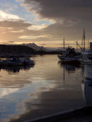 Midnight Sun, Bodo