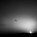 Leaving