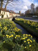 Springtime in Helmsley