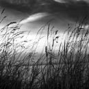 Storm Warning